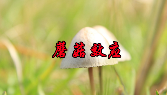 蘑菇效应